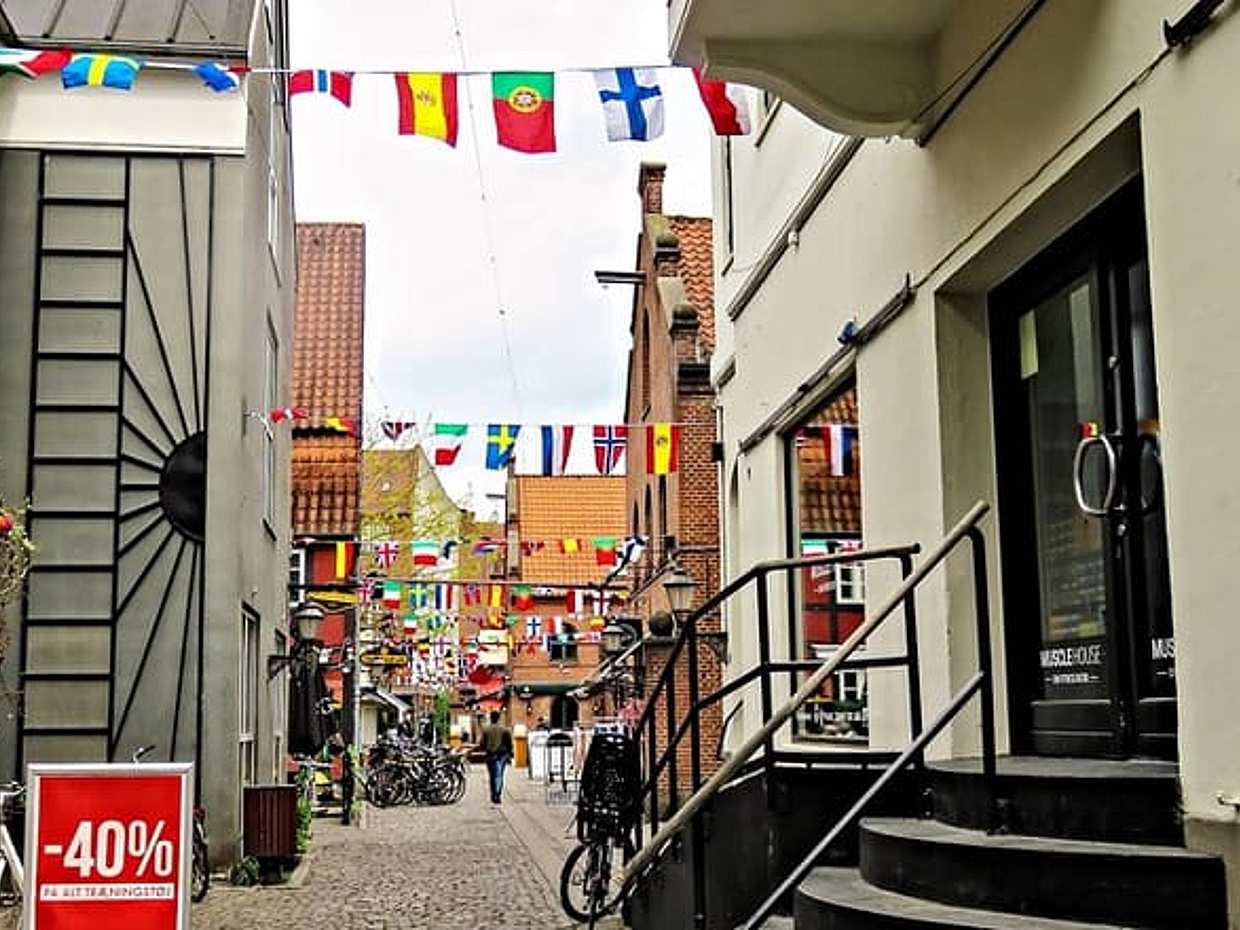 Özel Transfer Kopenhag'dan Ribe'ye, Danimarka'da 2 Saatlik Duraklama ile, photo 3