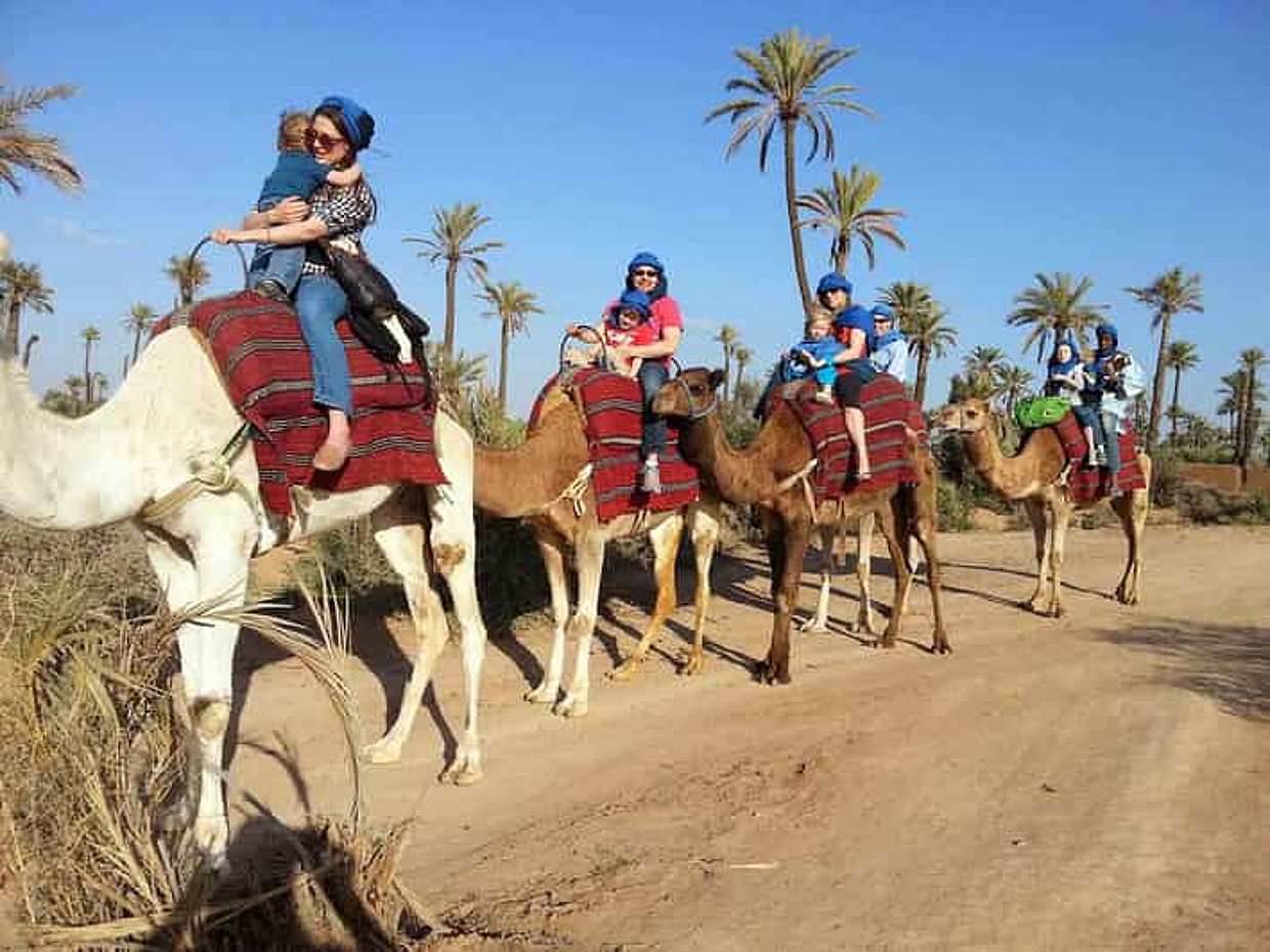 Paseo en camello en el Oasis Palmeral de Marrakech en Marruecos.
, photo 4