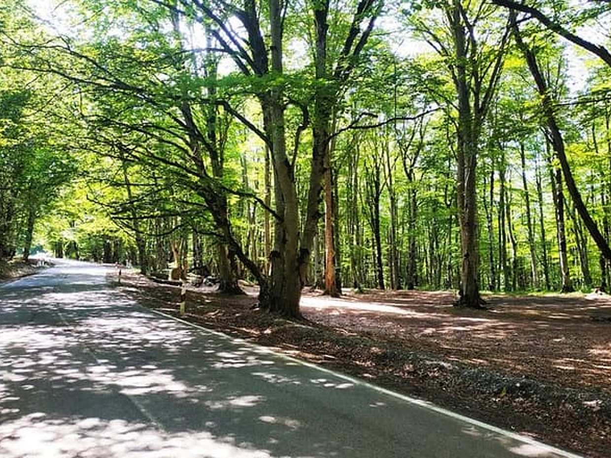 "Caminhada de Aventura: Lagos Abudelauri saindo de Tbilisi na Geórgia", photo 3