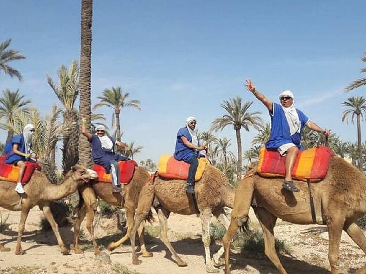Authentic 1-Hour Camel Ride Adventure, photo 5
