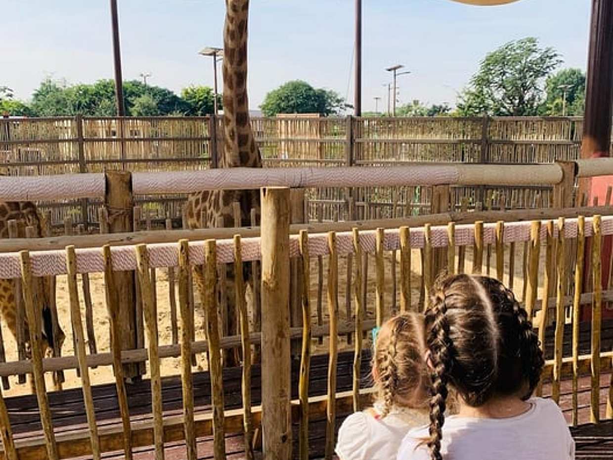 Dubai Safari Park in United Arab Emirates, photo 2
