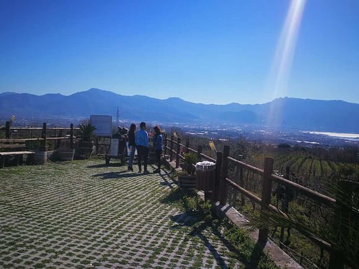 Vesuvius Shore Tour and Pompeii Site, photo 3