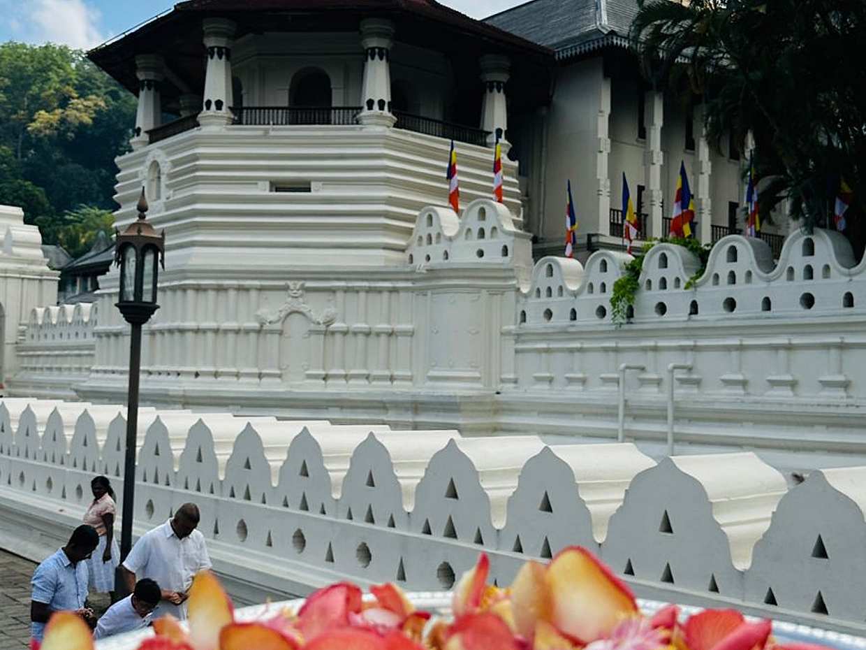 Eintägige Tour in Kandy in Sri Lanka
