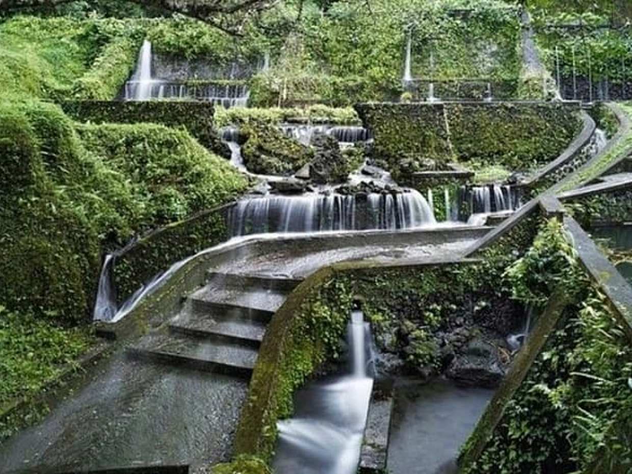 Private Guided Ubud Tour, photo 2