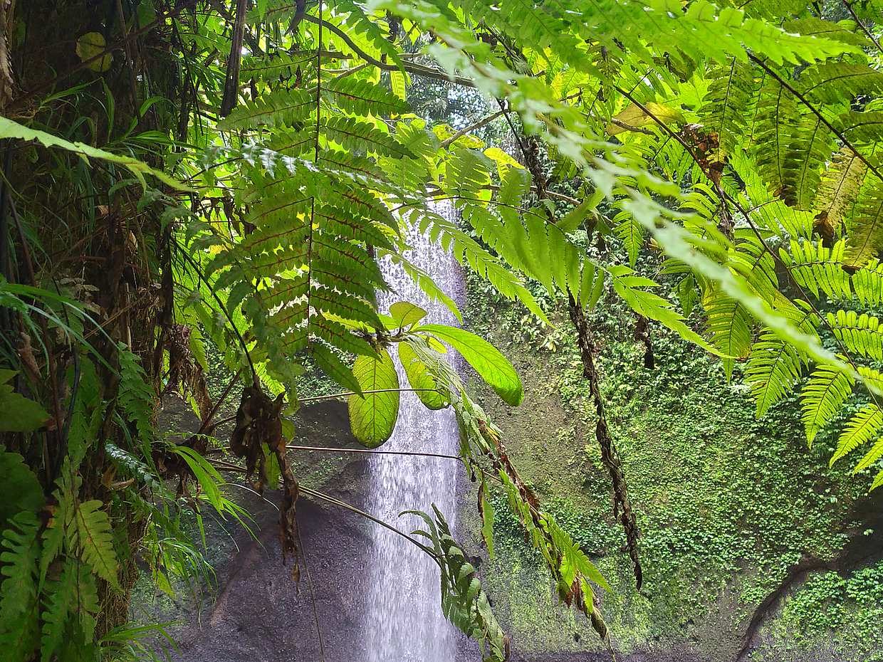 Circuit des trésors cachés de Bali en Indonésie
, photo 4