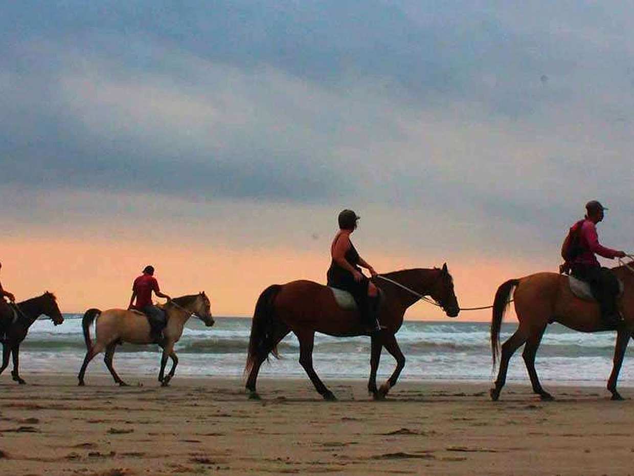 Romantic Horse Riding Tour for Couple in Bali, Indonesia, photo 2
