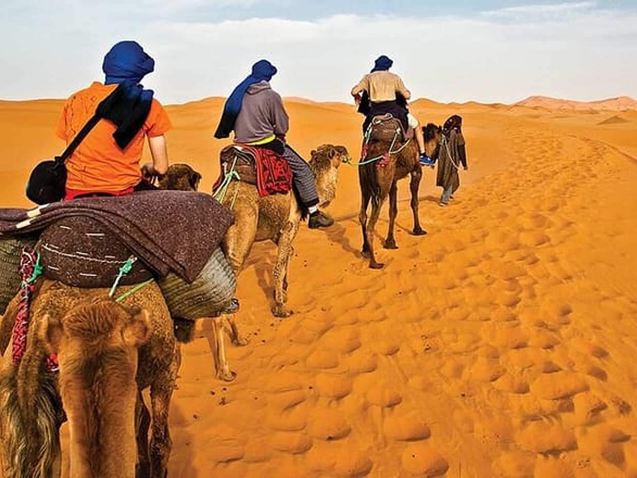 Camel Trekking In Abu Dhabi with Transfer, Fun and More, photo 5