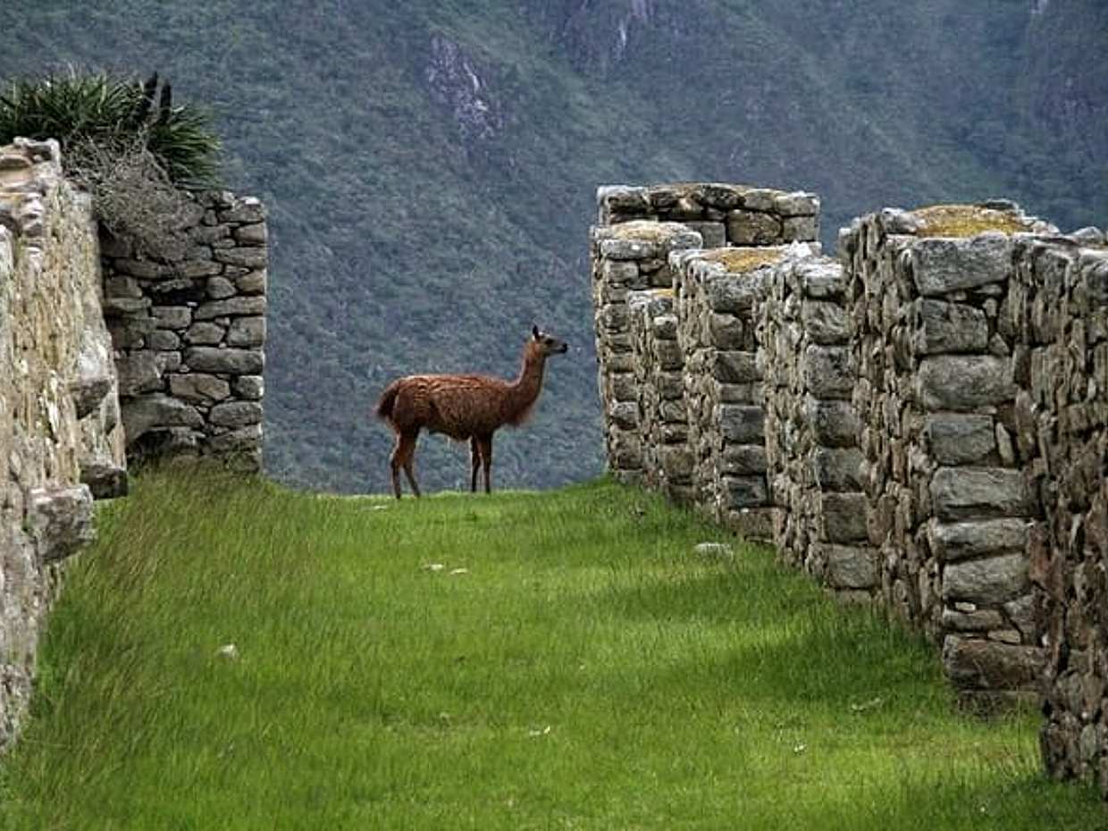 Private Transfer From Cusco To Puno With 2 Sightseeing Hours, photo 5