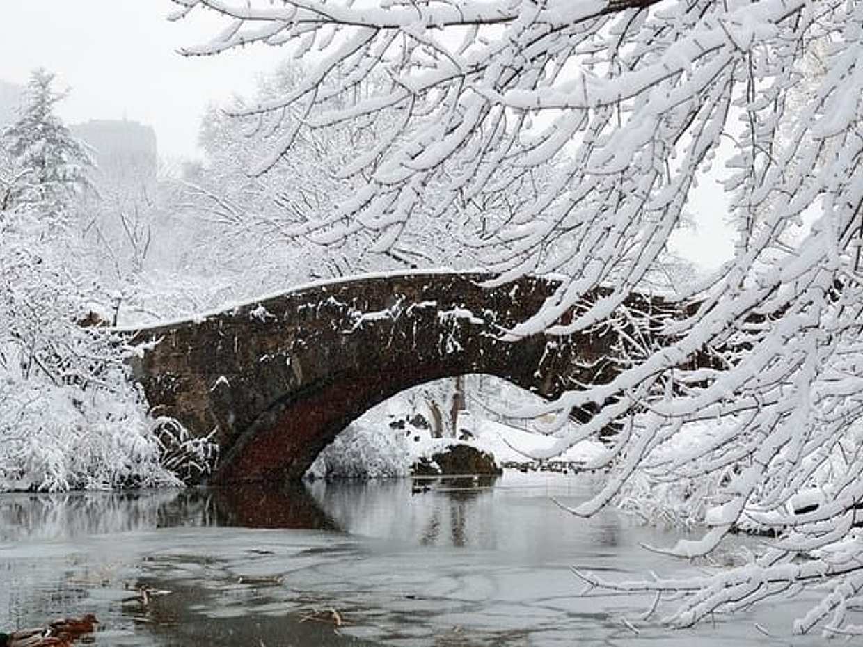 NYC Central Park Scavenger Hunt & Self-Guided Walking Tour in United States, Hoboken, photo 4