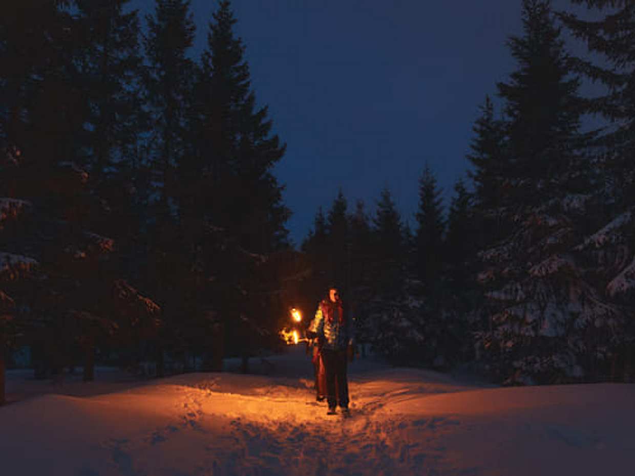 Private Winter Forest Walk & Campfire by Torchlight in Norway, Oslo, photo 4