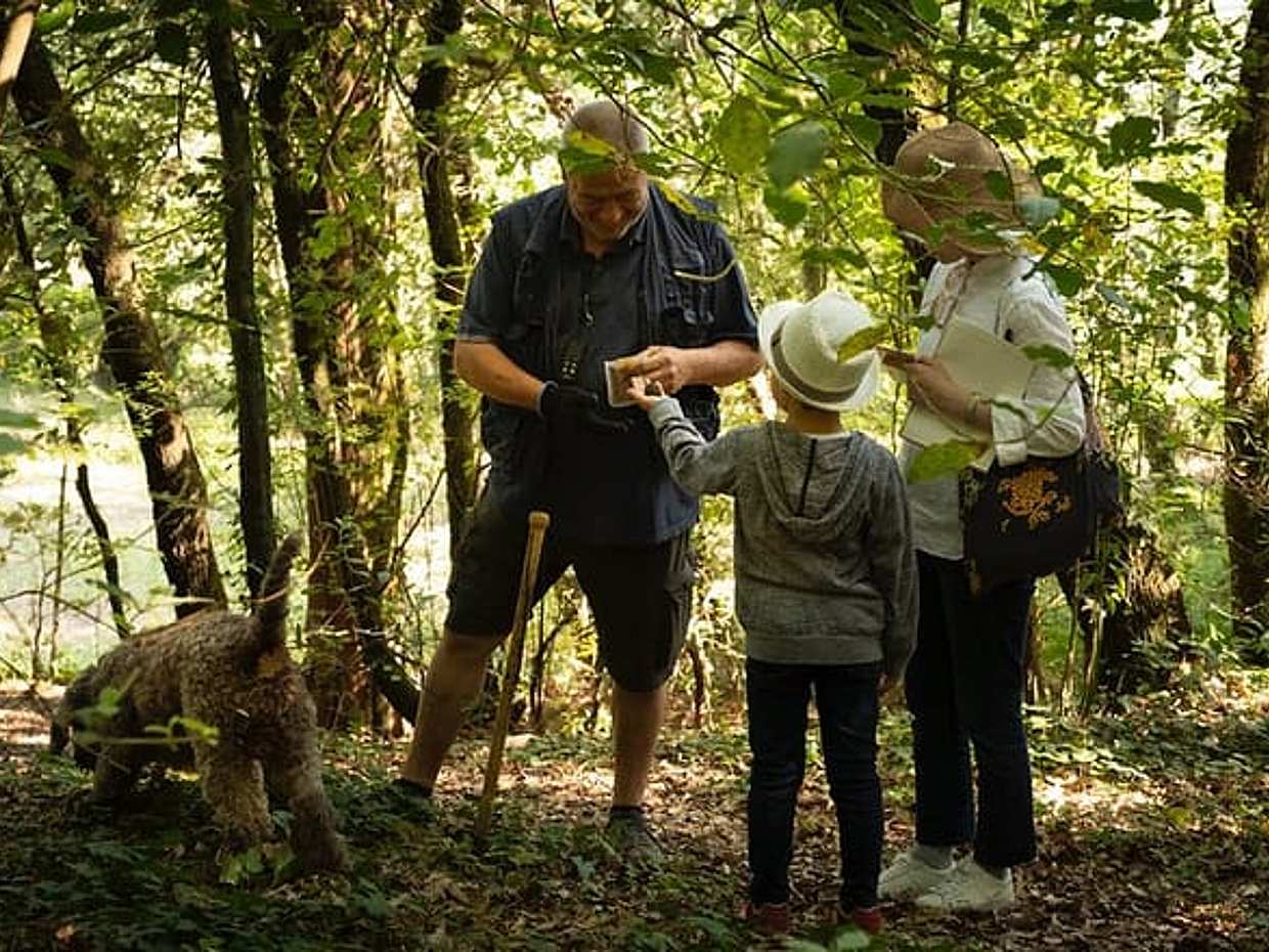Exclusive Private Truffle Hunt Experience with Lunch & Wine Tasting from Florence
