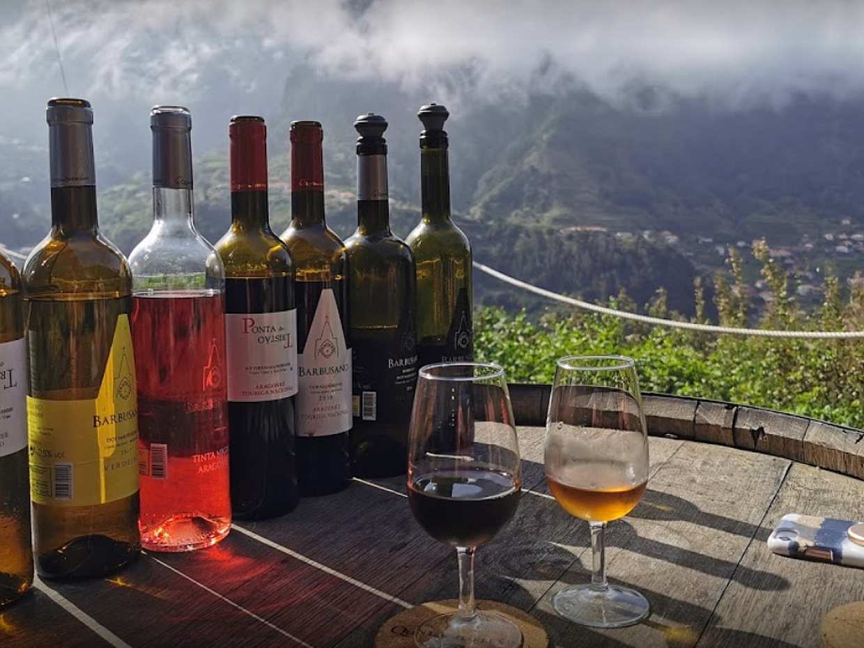 Excursión de día completo de cata de vinos con almuerzo en el viñedo en Portugal, Funchal., photo 3