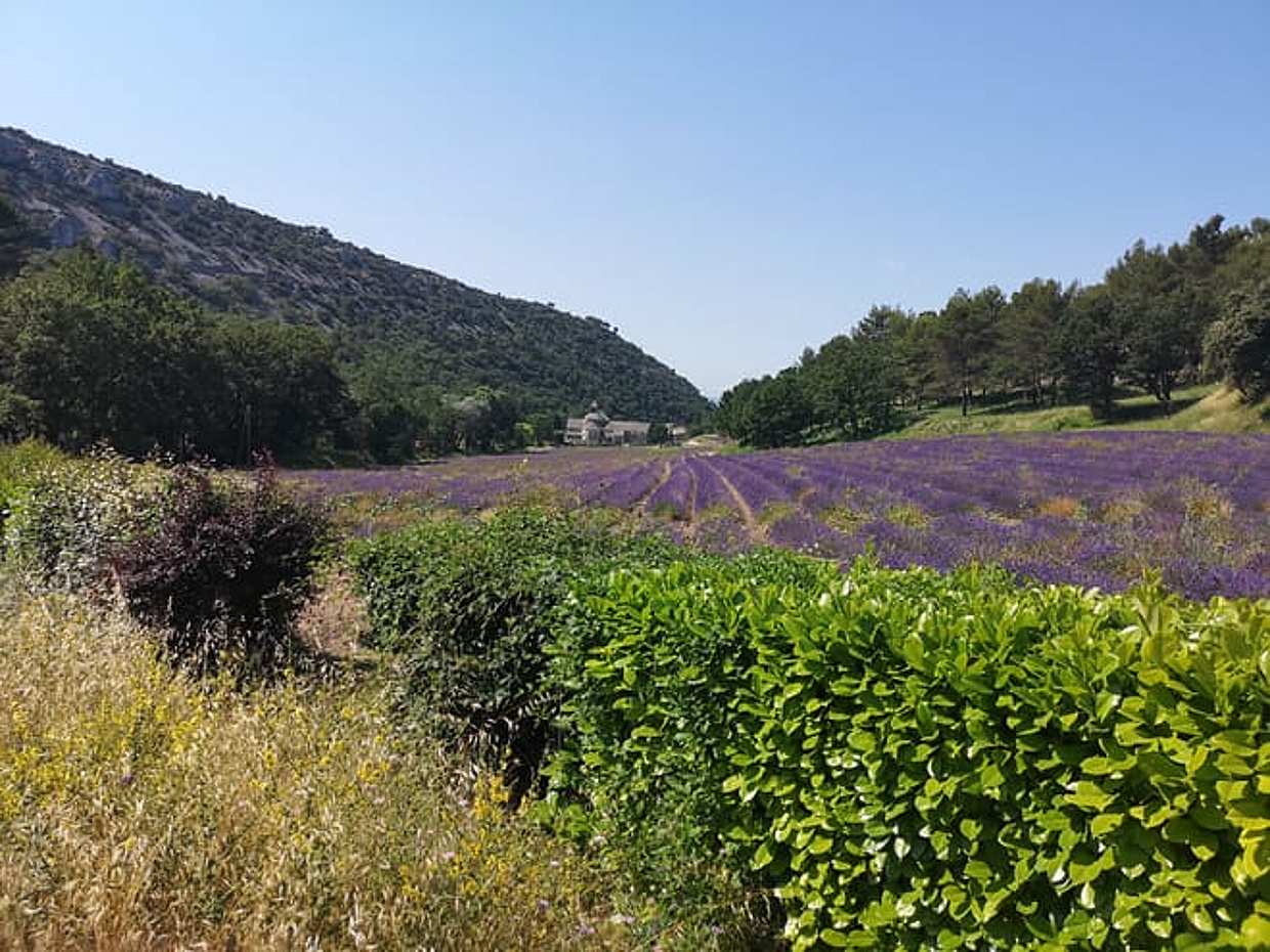 Marseille Shore Excursion: Private Day Trip to Luberon Villages, photo 3