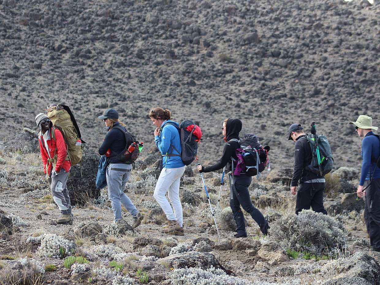 Kilimanjaro Luxury 7-day Hike, Tanzania, photo 3