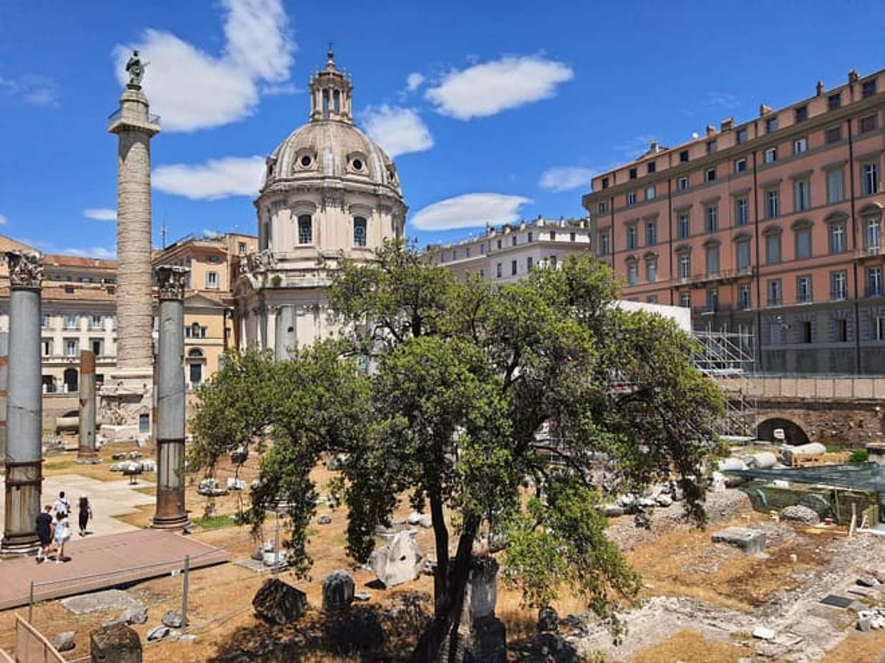 Colosseum, Palatine Hill & Roman Forum Private Tour in Italy, Rome, photo 4
