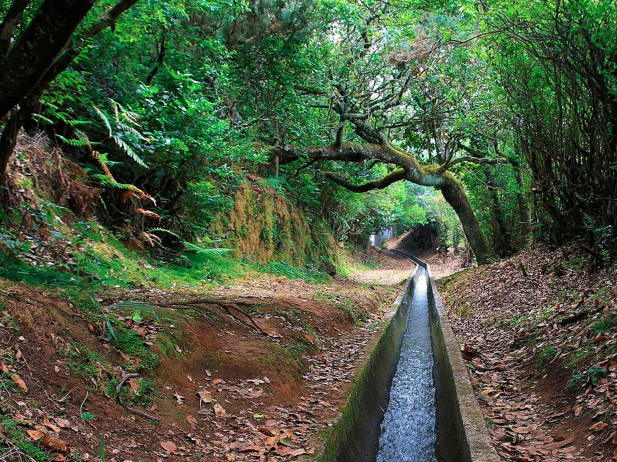 Ribeiro Frio, Portela Ganztägige Wanderung in Portugal, Funchal
, photo 2