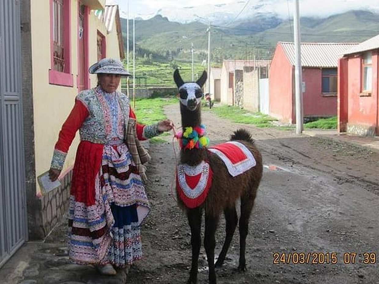Full Day Trip to Colca Canyon from Arequipa, photo 5