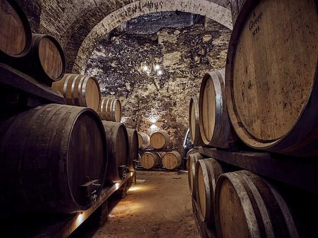 Full Day PRIVATE Guided Tour in Val D'Orcia Region, photo 2