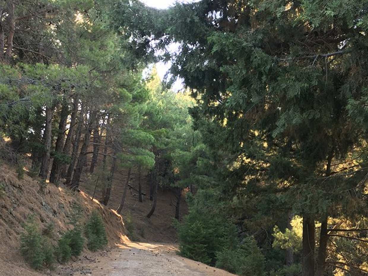 Kos 4x4 Exploration: Panoramic Views, Villages and Local Flavors in Greece, photo 4
