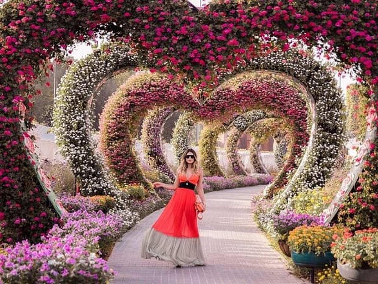 Dubai Miracle Garden Bilet w Zjednoczonych Emiratach Arabskich, photo 4