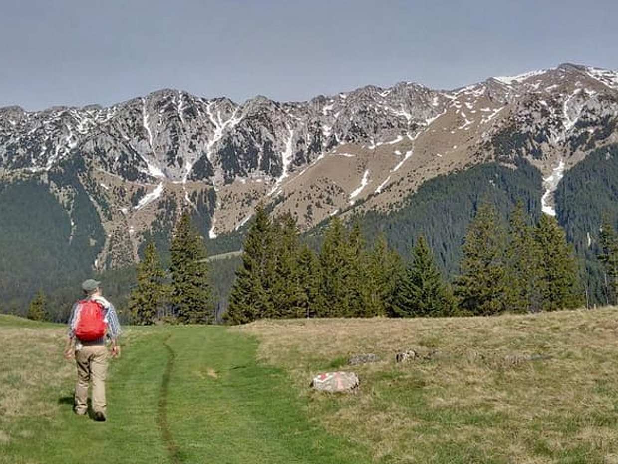 4-Day Carpathian Trek: Bucegi Mountains and Piatra Craiului National Park in Romania, Brașov, photo 2