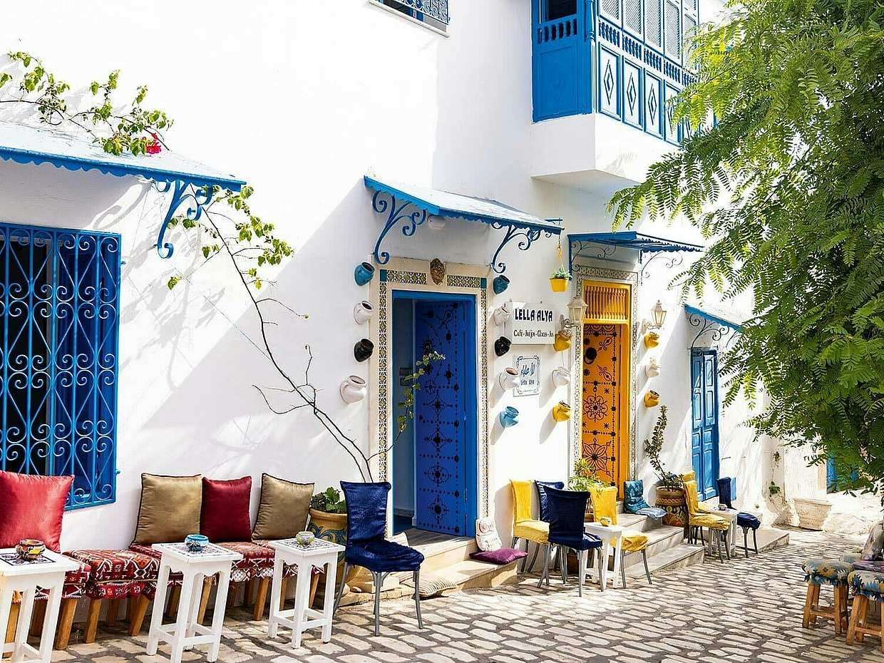 Tunis, Carthage & Sidi Bou Said Day Trip from Hammamet in Tunisia