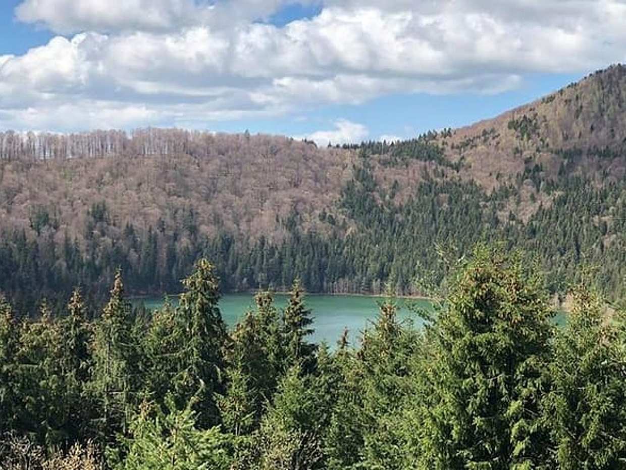 Excursão de um dia em grupo pequeno ao lago vulcânico único na Europa Oriental na Romênia, Brașov., photo 3