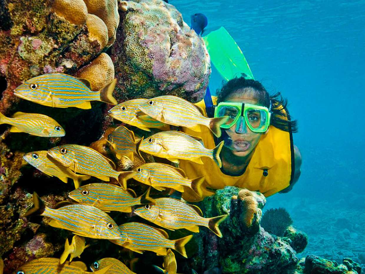 Riviera Maya Snorkeling Adventure: Lagoon, Cenote & Underground River, photo 2