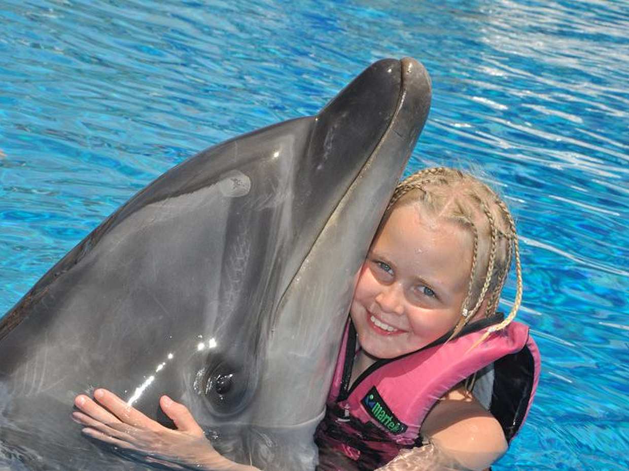Dolphin Show Experience from Side in Turkey, photo 2