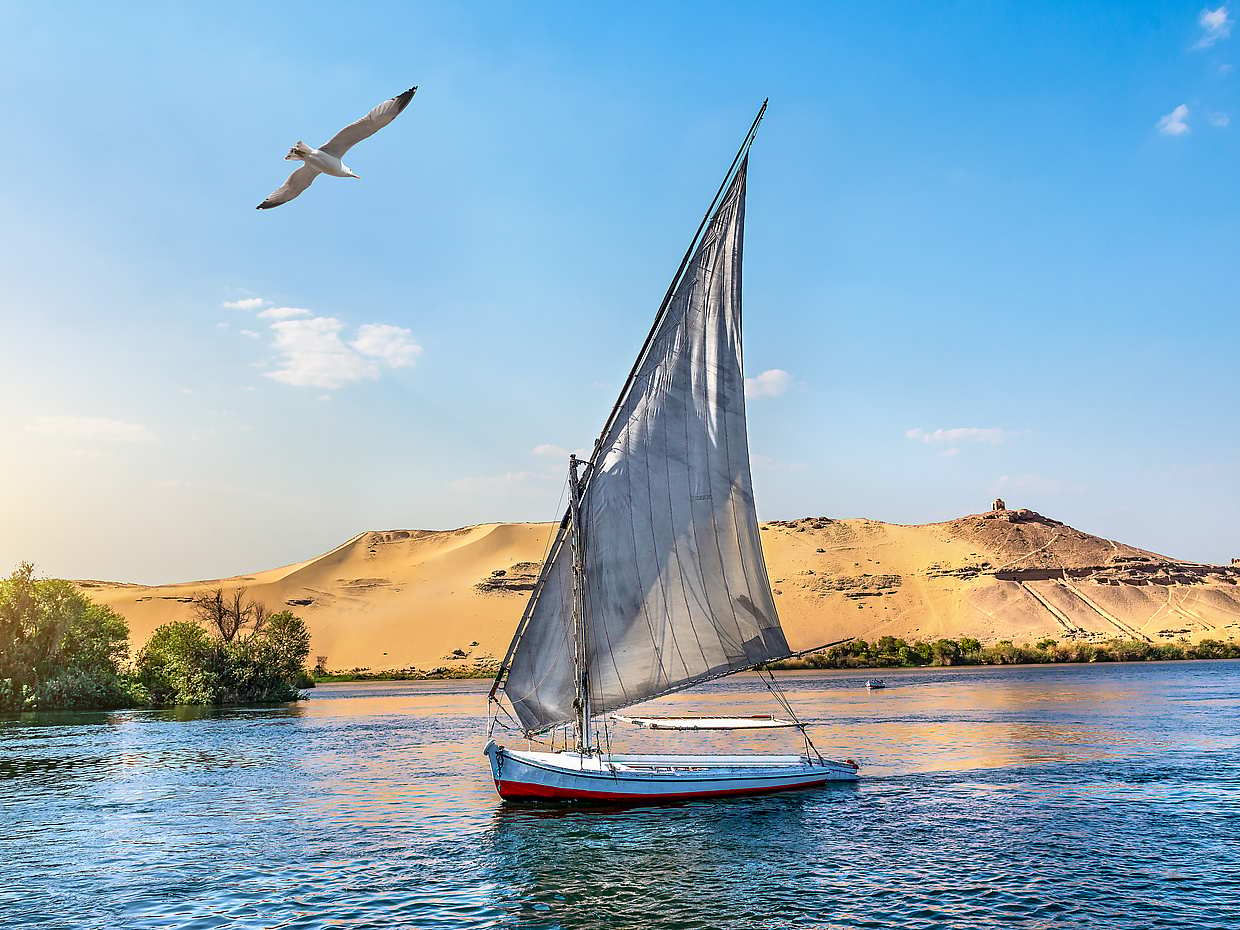 Feloeka of motorboot tour in Luxor in Egypte, photo 2