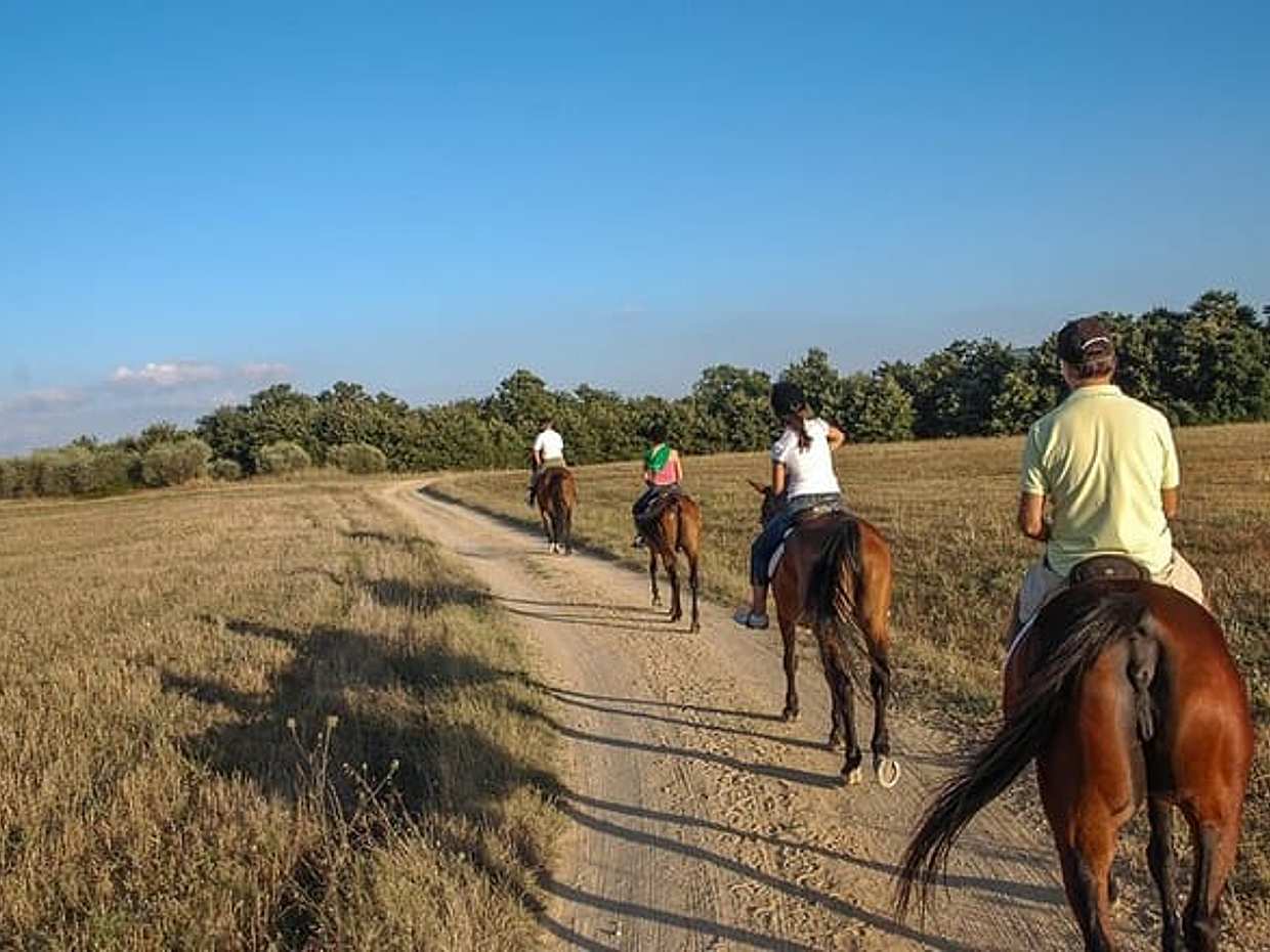 Murgia Park: Horse riding tour, photo 2
