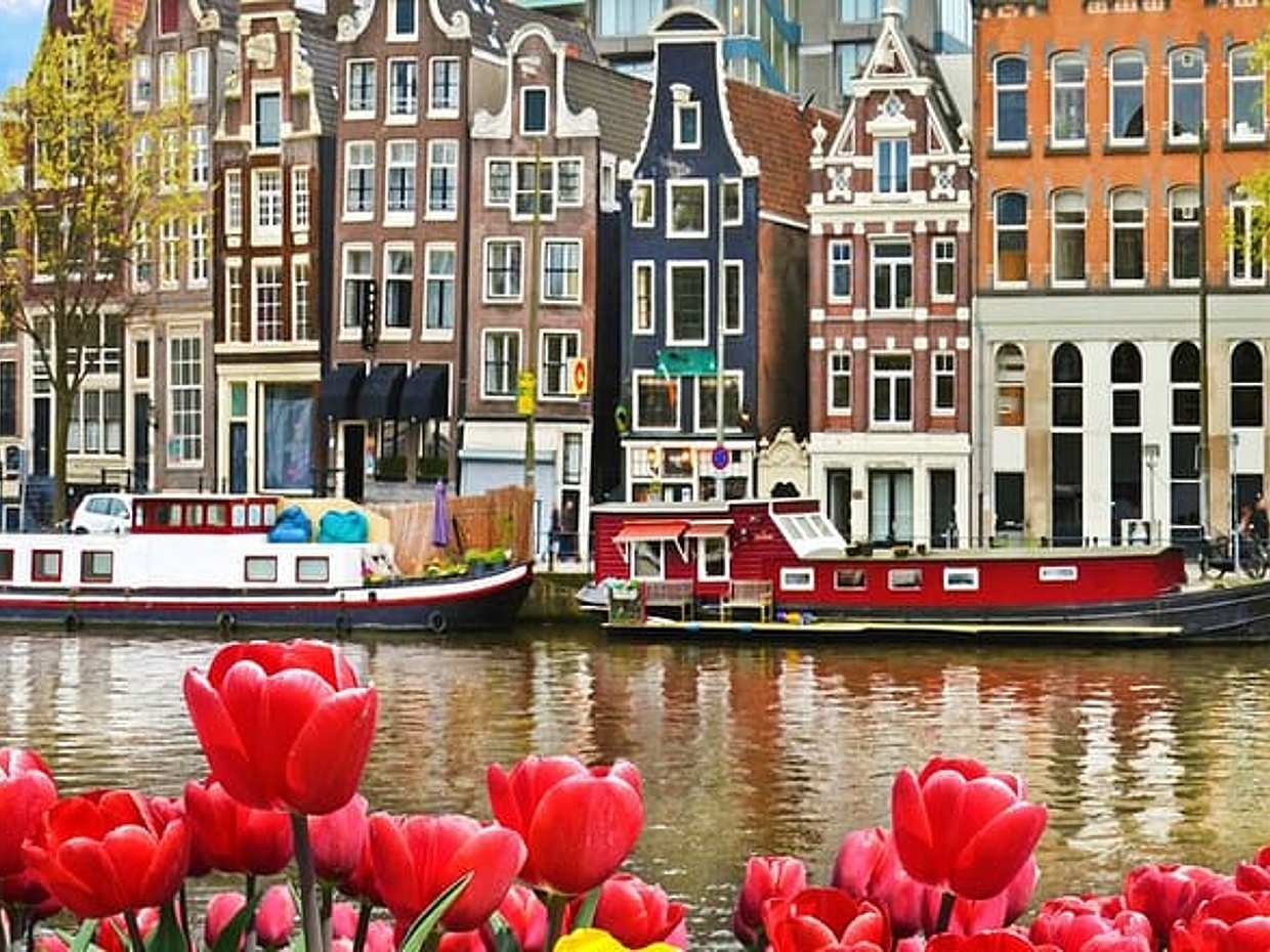 Privé rechtstreekse transfer van Brugge naar Amsterdam in België., photo 4