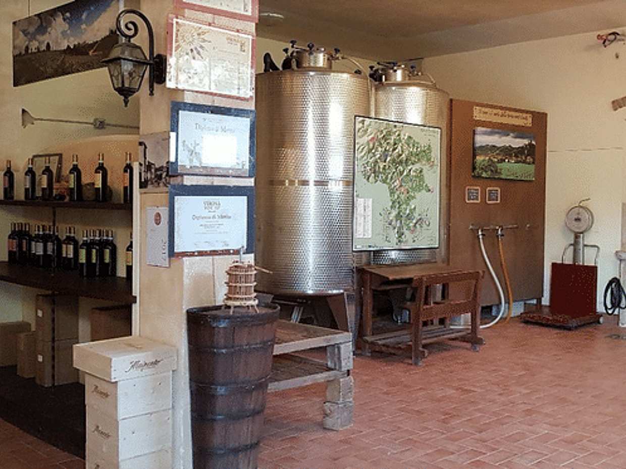 Soave Wine Tasting and Vineyard Tour in the Historical Center, photo 4