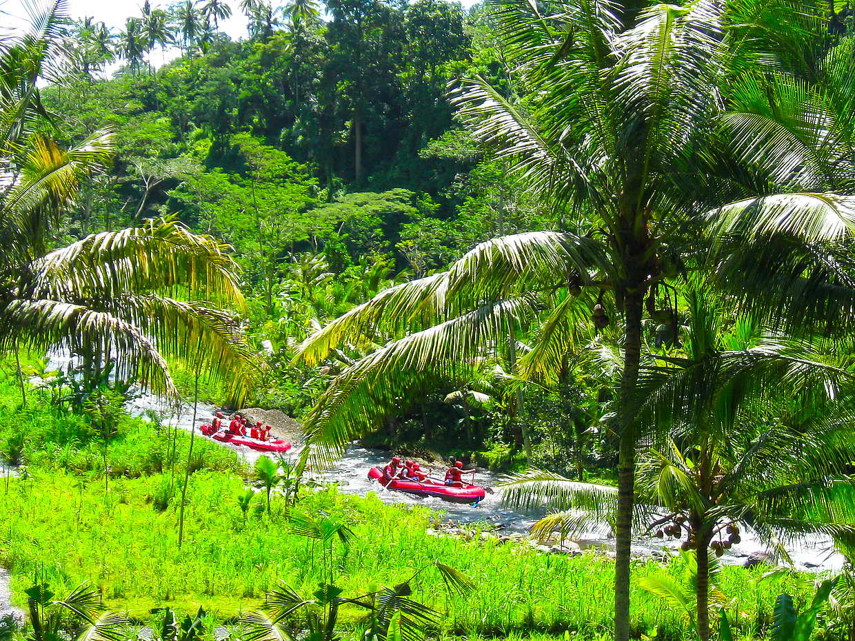 Esperienza di rafting di un giorno intero a Bali, photo 2
