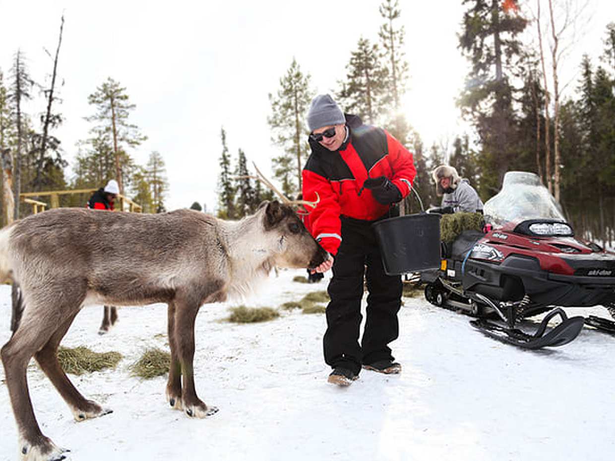 Snowmobile Safari to Reindeer Farm, Levi — authentic local experience, photo 4