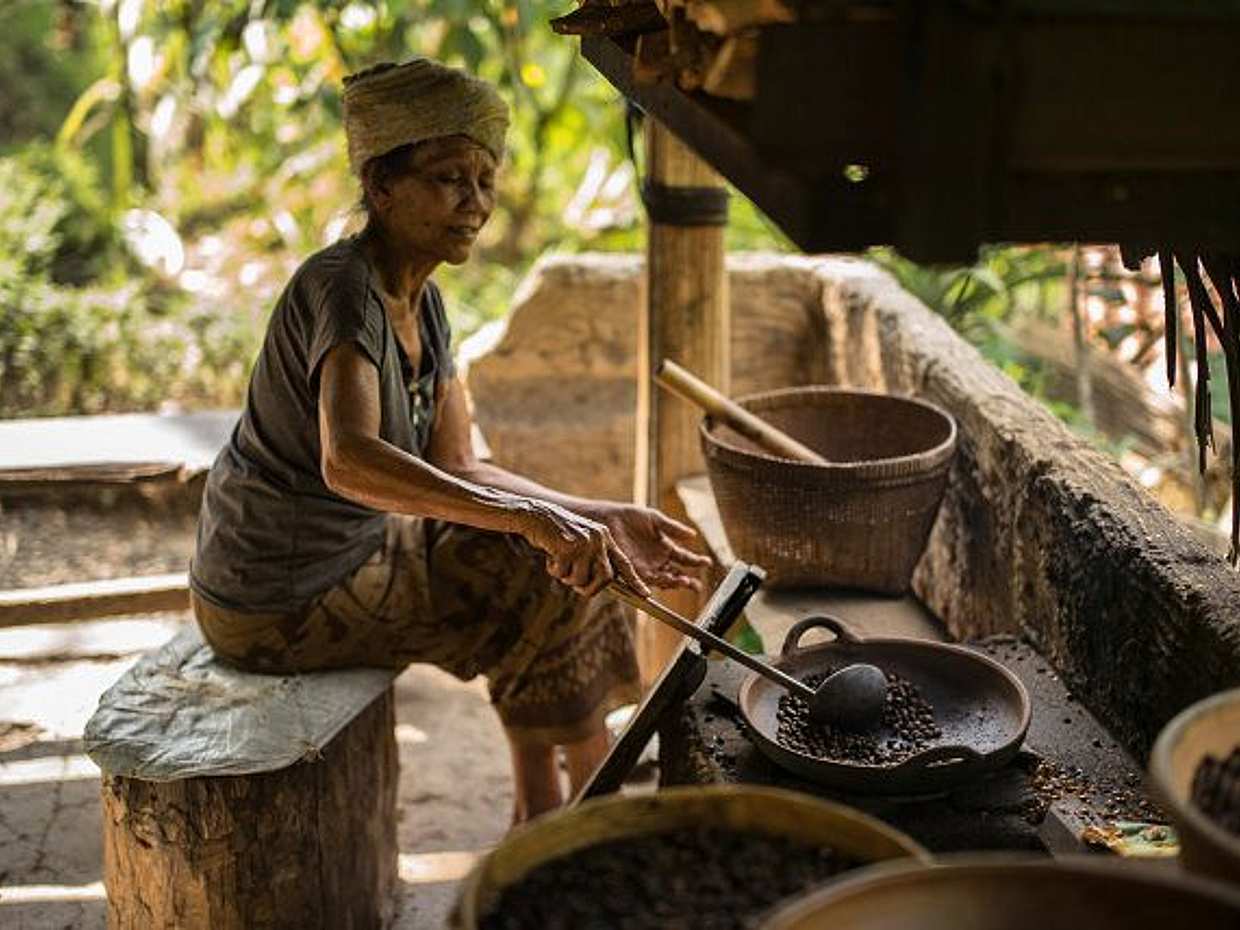"Joias Escondidas de Bali: Aldeia Penglipuran, Degustação de Café e Cachoeira Tibumana na Indonésia", photo 5