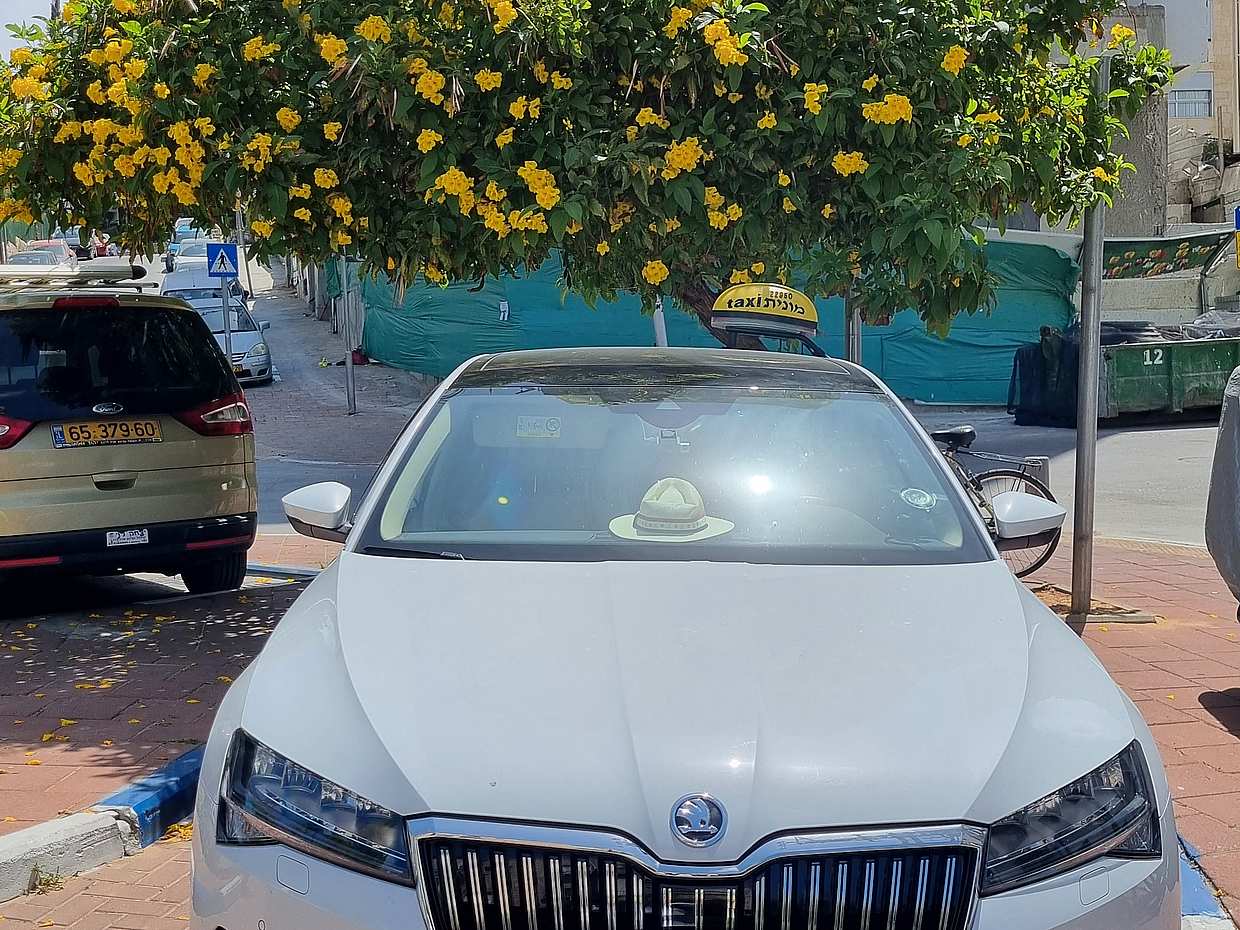 Private Transfer from Ben-Gurion Airport to Tel Aviv in Israel, Tel Aviv-Yafo, photo 2