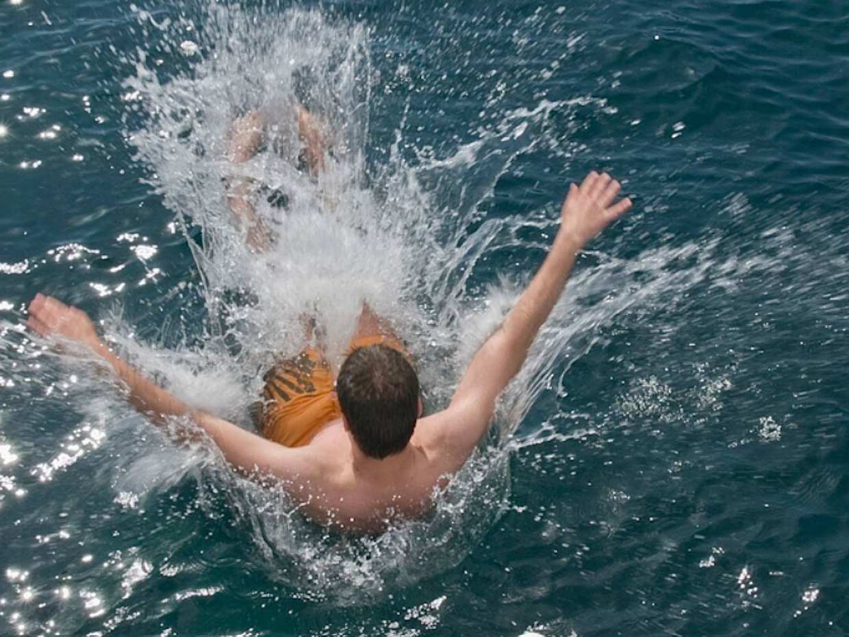 Two-Hour Dolphin Spotting Catamaran Cruise Ticket, photo 4