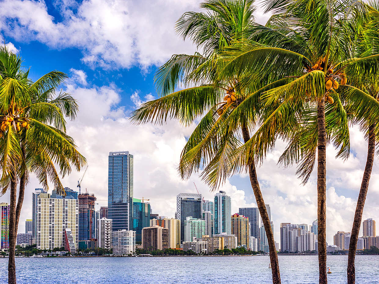 Fantastische Sightseeing-Bus- und Bootstour in Miami in den Vereinigten Staaten, Miami Sightseeing-Bus- und Bootstour.
, photo 2