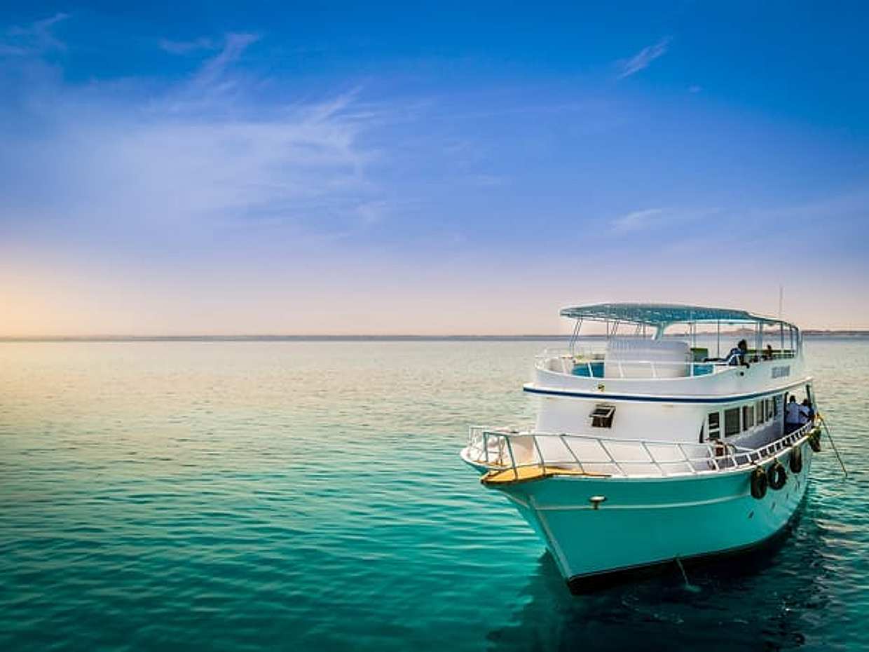 Dolphin House Reefs: Snorkel & watch Adventure from Hurghada, photo 2