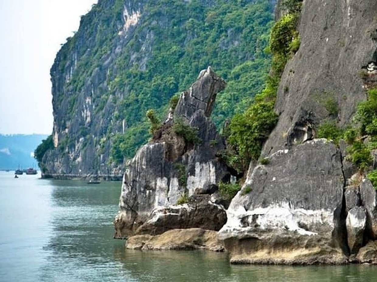 Baia di Halong Escursione a terra: 4 ore di crociera, pranzo, biglietti e grotta in Vietnam, Ha Long, photo 4