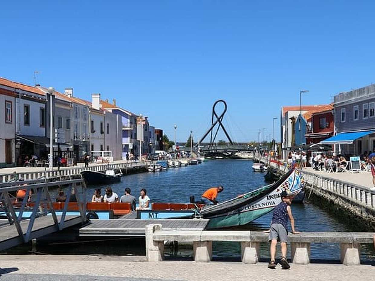"Gita giornaliera privata: da Porto ad Aveiro, Vila Nova de Gaia e ritorno in Portogallo"