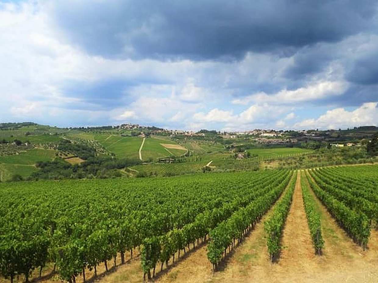 Safari in Chianti Open Top Van and Tasting Wine, photo 3