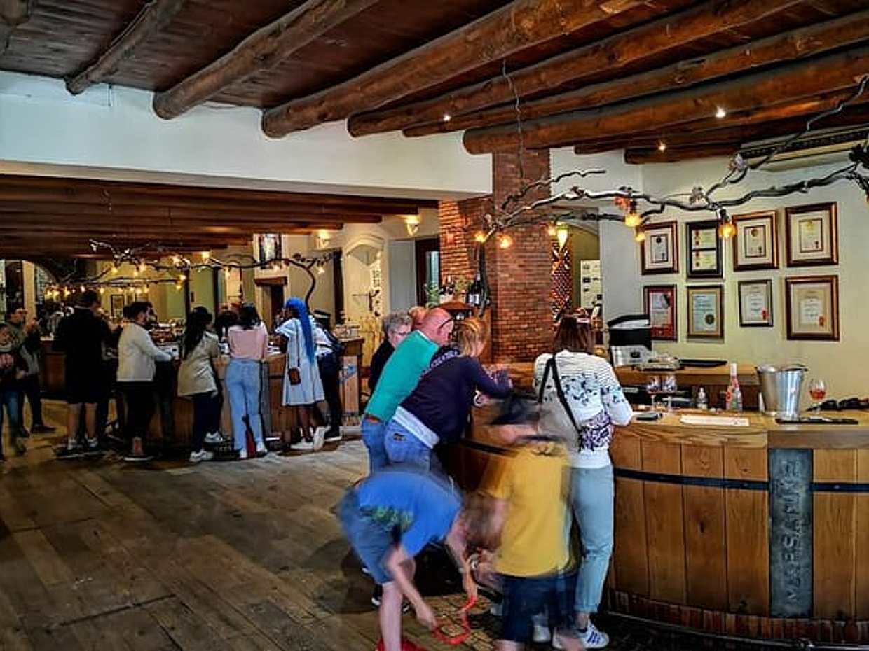 Cape Town Based Private Full-Day Winelands Tour to Paarl in South Africa, photo 3