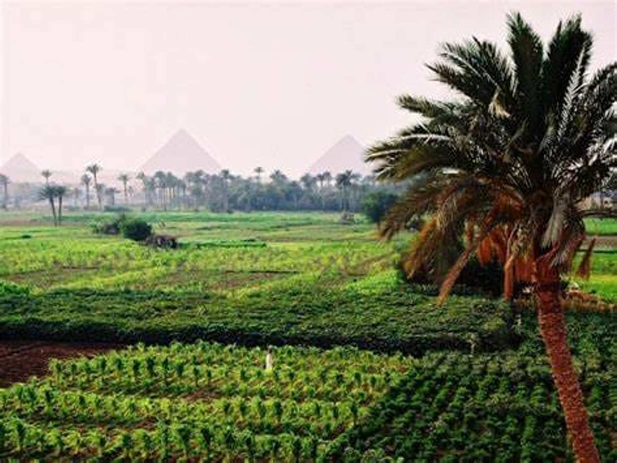 Half-Day Egypt Country Side Farm Tour with Pick Up, photo 2