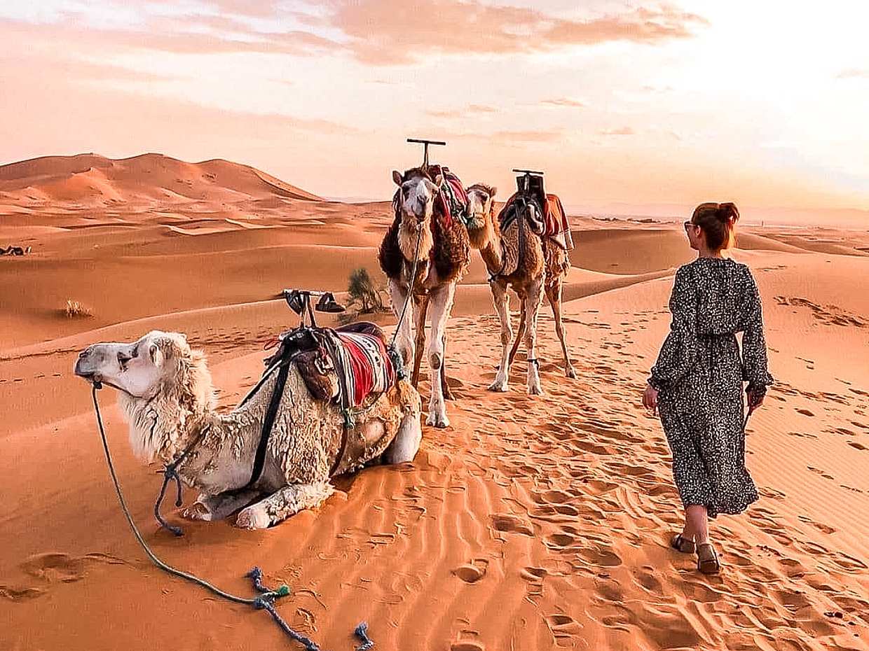 مغامرة أسطورية في قصر غيلان: يومان وليلة ساحرة في تونس، جربة ميدون.
