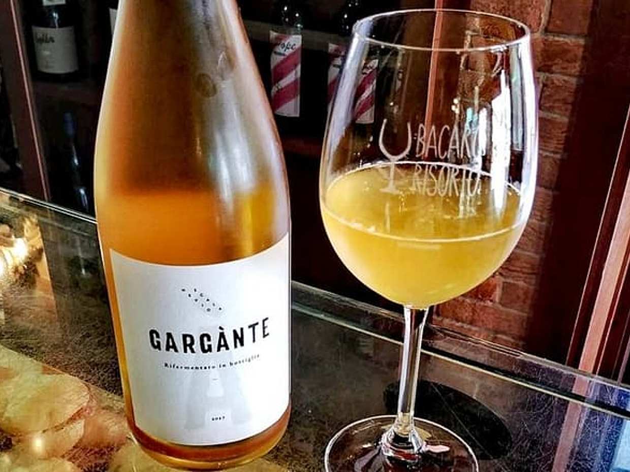 Venice’s Secret Vineyard: Private Tour & Wine Tasting, photo 2