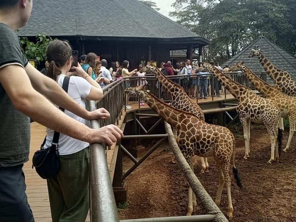 Giraffe Centre, Kazuri Beads Maasai Collection Shopping Excursion in Kenya, Nairobi, photo 4