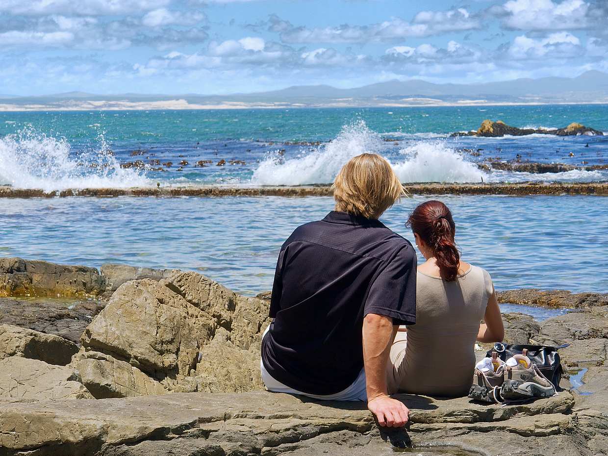 Private Shore Whale Watching Tour to Hermanus from Cape Town in South Africa, photo 3