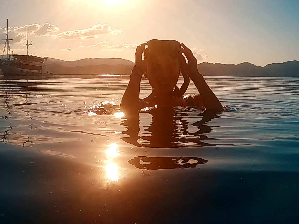 <p>เป็นนักดำน้ำ Open Water Diver ที่ได้รับการรับรองจากอะโซร์ส - เกาะ Terceira - การผจญภัยใต้น้ำของคุณเริ่มต้นที่นี่! ในโปรตุเกส</p>
, photo 4